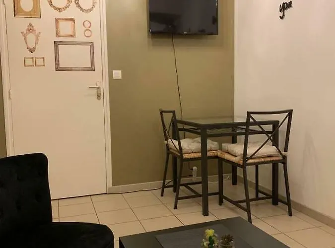 T2 Proche Centre Jardin Dior 50 M2