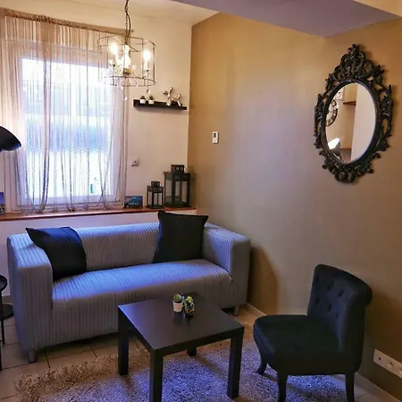 T2 Proche Centre Jardin Dior 50 M2 Apartment