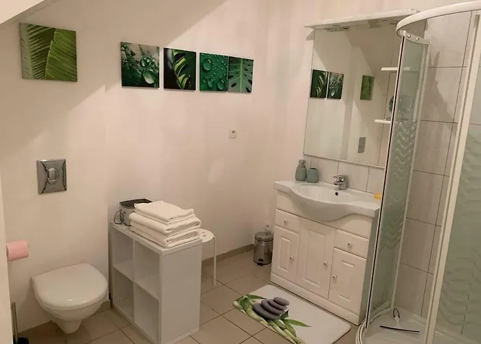 T2 Proche Centre Jardin Dior 50 M2 Apartamento *